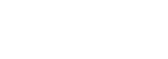 LARGE SEDAN