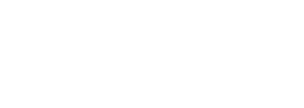 ELECTRIC CAR